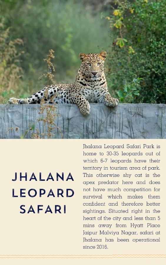 Hyatt Place Jaipur Malviya Nagar 外观 照片 Jhalana Leopard